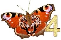 Tiger_Butterfly_4.jpg