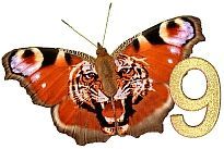 Tiger_Butterfly_9.jpg