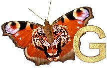 Tiger_Butterfly_G.jpg