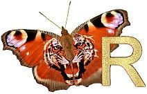 Tiger_Butterfly_R.jpg