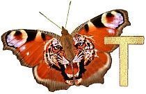 Tiger_Butterfly_T.jpg