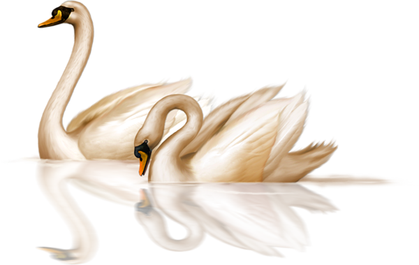 Two_Bronze_Swans_Clip-art.png