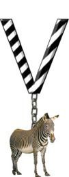 V-Zebra-Charm_ccnan.jpg