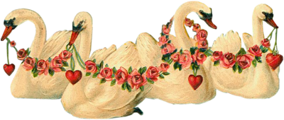 VICTORIAN_bird_1_quaddles_by_quaddles.png