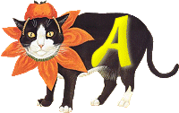 VMV-Katze-01-A.gif