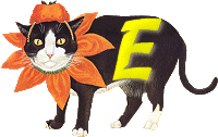 VMV-Katze-01-E.gif