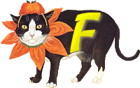 VMV-Katze-01-F.gif