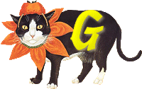 VMV-Katze-01-G.gif