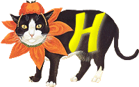 VMV-Katze-01-H.gif