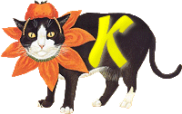 VMV-Katze-01-K.gif