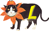 VMV-Katze-01-L.gif