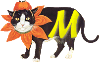 VMV-Katze-01-M.gif