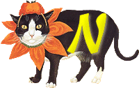 VMV-Katze-01-N.gif