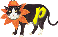 VMV-Katze-01-P.gif