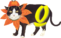 VMV-Katze-01-Q.gif