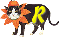 VMV-Katze-01-R.gif