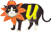 VMV-Katze-01-U.gif