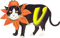 VMV-Katze-01-V.gif