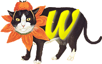 VMV-Katze-01-W.gif