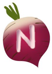 Veg_n2.jpg