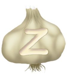 Veg_z2.jpg