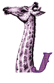 Vintage-Giraffe-Alpha-by-iRiS-J.gif