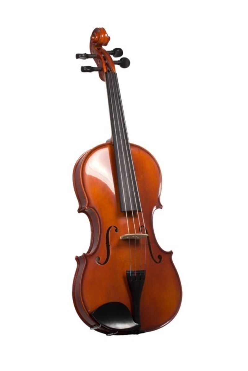 Violon-100.jpg