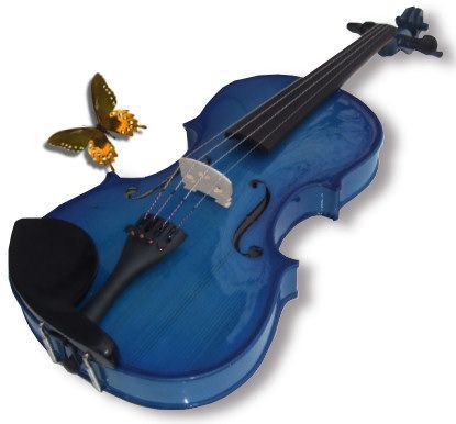 Violon-113.jpg