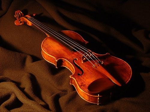 Violon-14768909.jpg