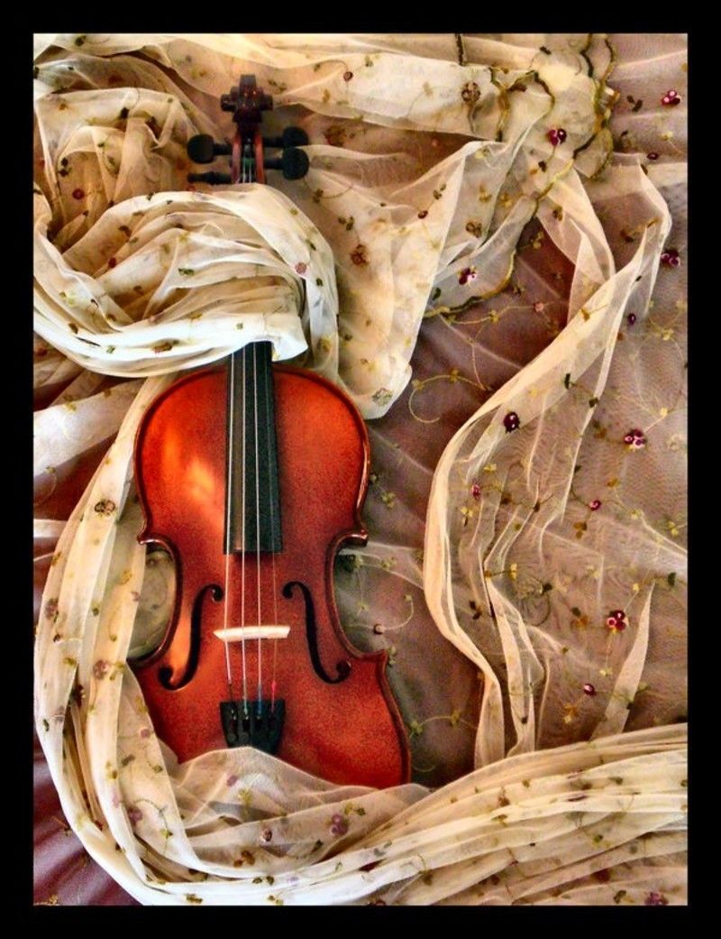 Violon-15454451.jpg