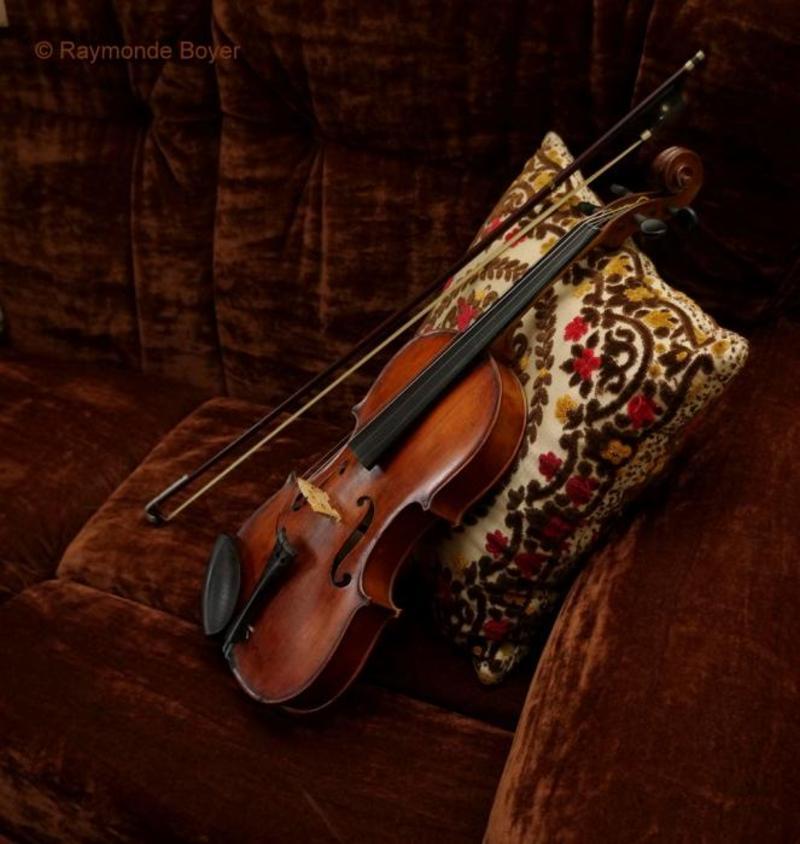 Violon-27.jpg