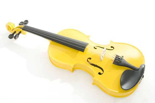 Violon-39.jpg