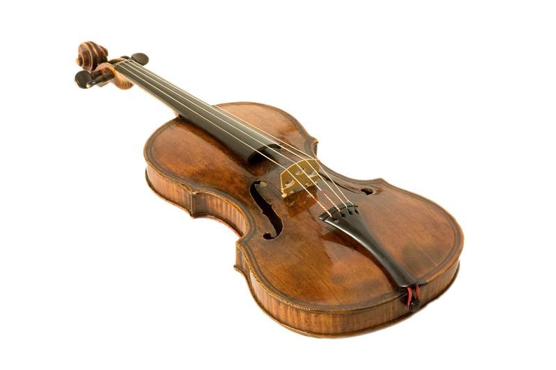 Violon-43.jpg