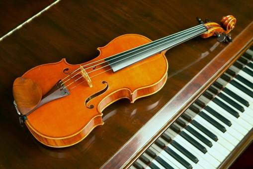 Violon-53.jpg