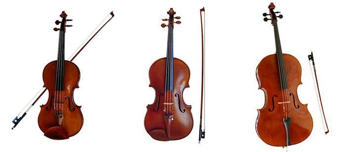 Violon-74.jpg