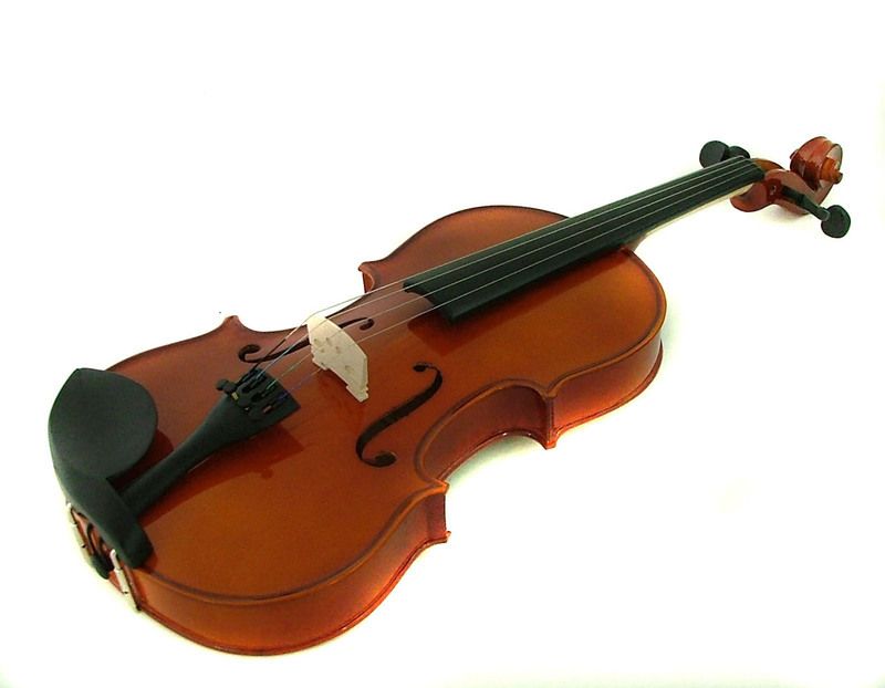 Violon-75.jpg