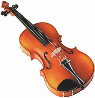 Violon-77.jpg