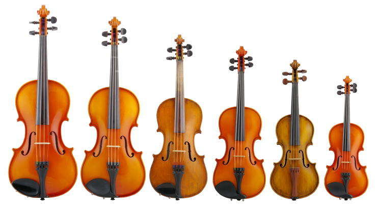 Violon-8.png