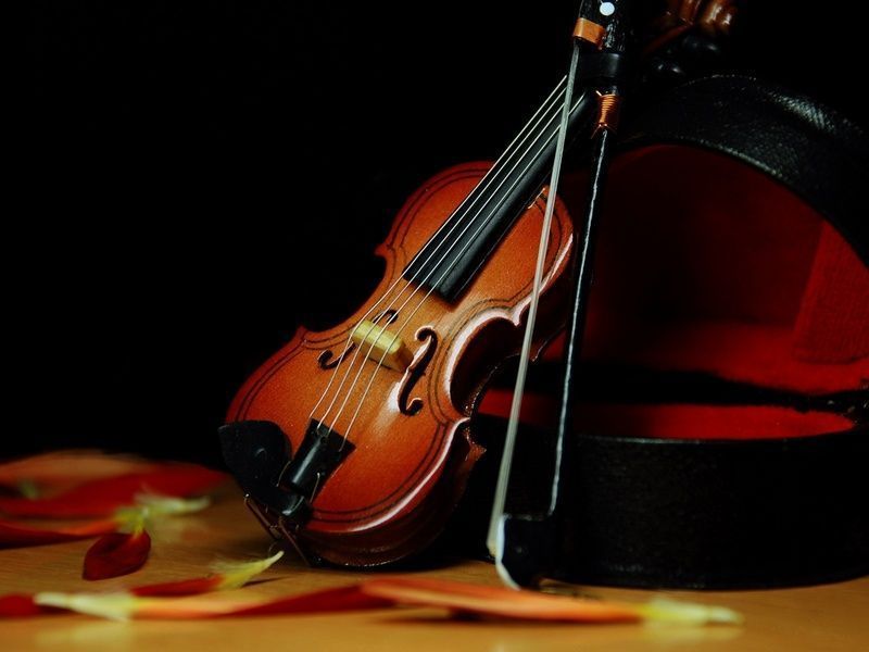 Violon-84.jpg