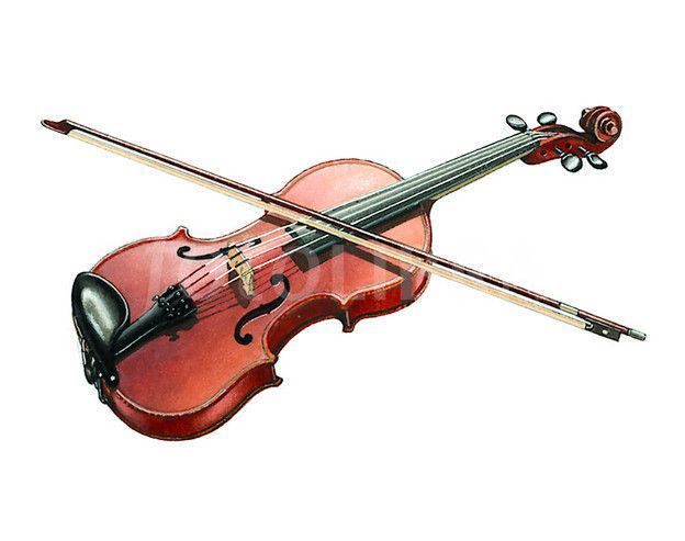 Violon-988678.jpg