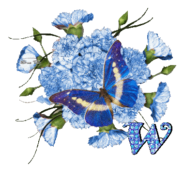 W.gif