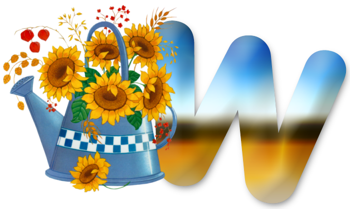 W1-lg.png
