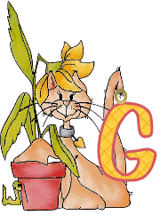 WhatFlower_Ro_g.gif