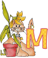 WhatFlower_Ro_m.gif