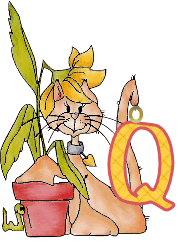 WhatFlower_Ro_q.gif