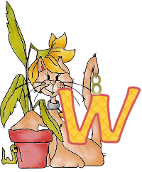WhatFlower_Ro_w.gif