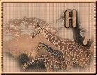 WildLifeGiraffesA-UC.jpg