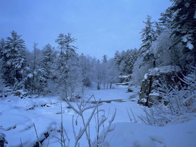 Winter-Scene-christmas-2735677-1024-768.jpg