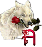 Wolf-Rose-A.gif