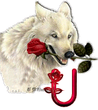Wolf-Rose-U.gif